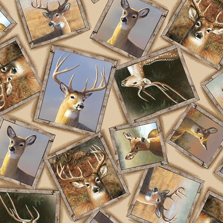 DEER VALLEY